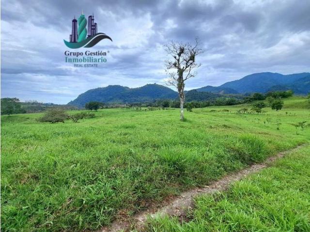 Cortijo de alto standing de 950000 m2 en venta Volcán, Panamá