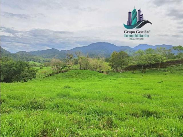 Cortijo de alto standing de 950000 m2 en venta Volcán, Panamá