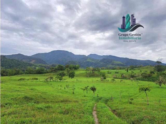 Cortijo de alto standing de 950000 m2 en venta Volcán, Panamá
