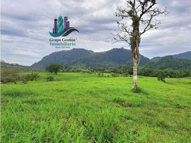 Cortijo de alto standing de 950000 m2 en venta Volcán, Panamá