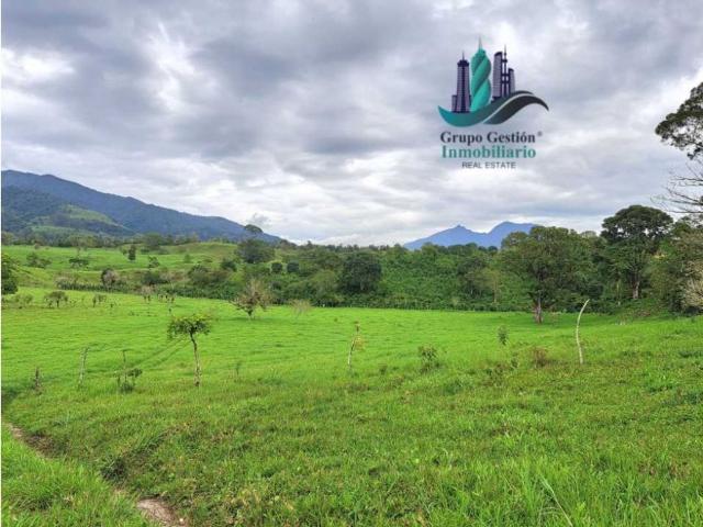 Cortijo de alto standing de 950000 m2 en venta Volcán, Panamá