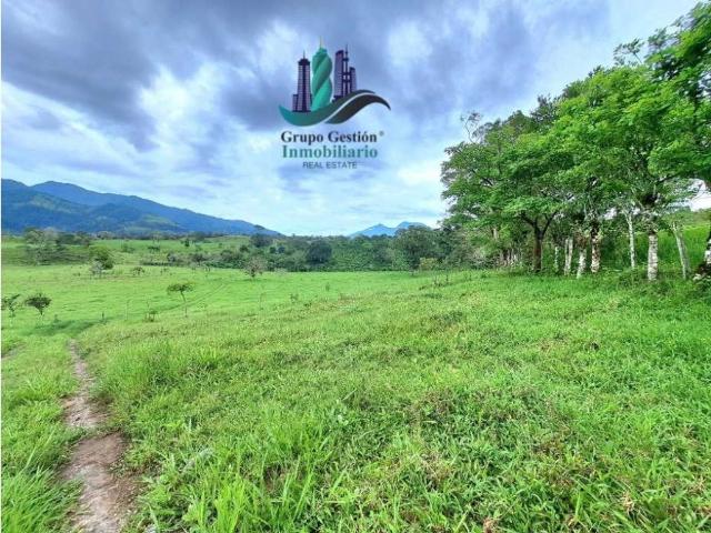 Cortijo de alto standing de 950000 m2 en venta Volcán, Panamá
