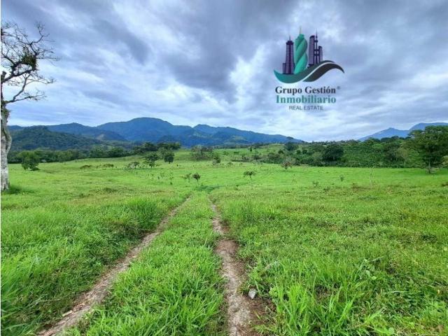 Cortijo de alto standing de 950000 m2 en venta Volcán, Panamá
