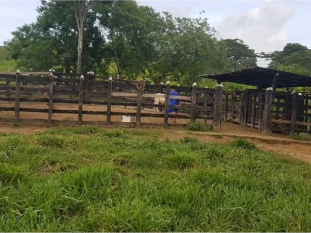Finca en venta en San Carlos, Caparrapí