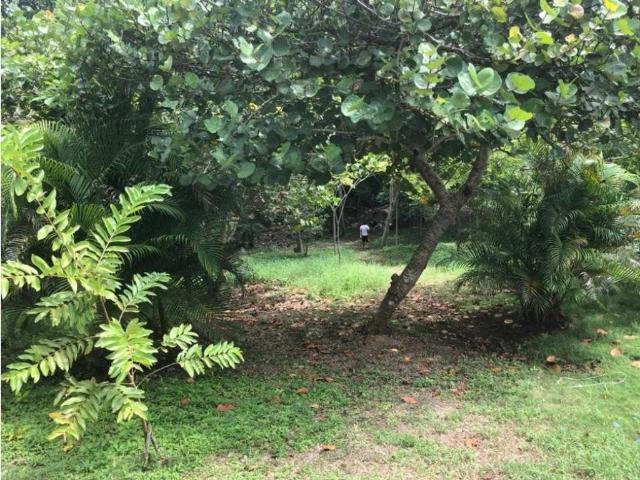 Cortijo de alto standing en alquiler Turbaco, Colombia