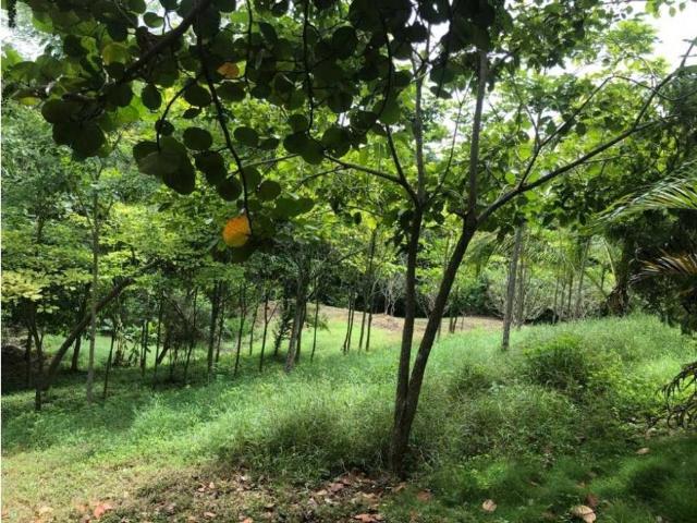 Cortijo de alto standing en alquiler Turbaco, Colombia