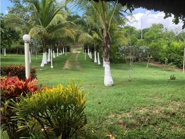 Finca en arriendo en Bolívar