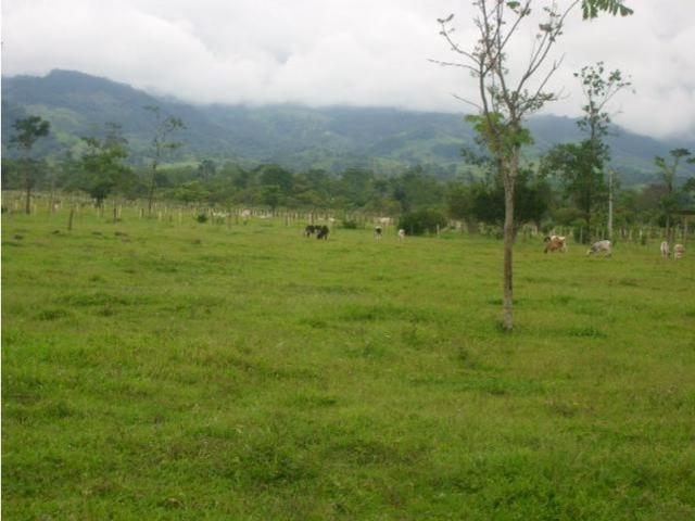 Finca en venta en Acacías, Meta