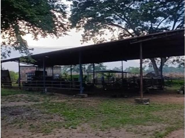 Propiedad en venta en Acarigua, Municipio Páez