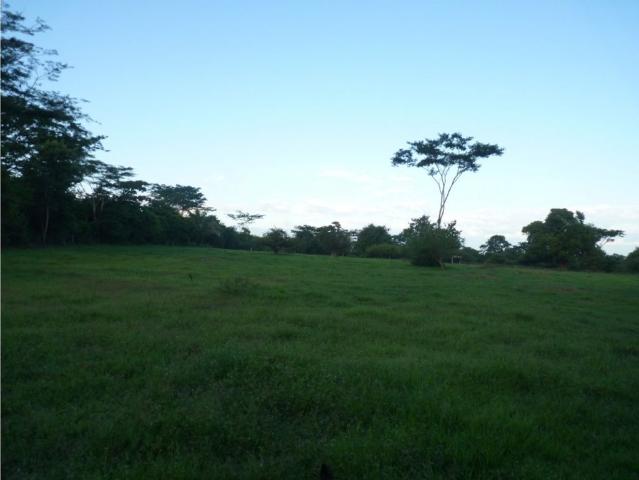 Cortijo de alto standing en venta Aguachica, Colombia