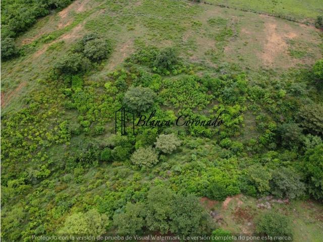 Cortijo de alto standing en venta Aguadulce, Provincia de Coclé