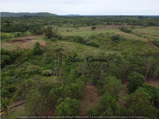 Cortijo de alto standing en venta Aguadulce, Provincia de Coclé