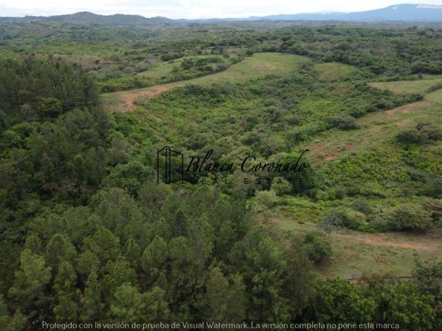 Cortijo de alto standing en venta Aguadulce, Provincia de Coclé