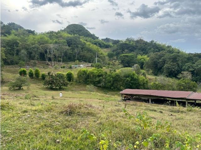 Finca en venta en Alcalá, Valle Del Cauca