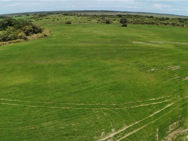 Cortijo de alto standing en venta Antón, Panamá