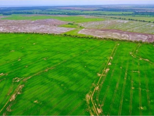 Cortijo de alto standing de 8080000 m2 en venta Antón, Provincia de Coclé