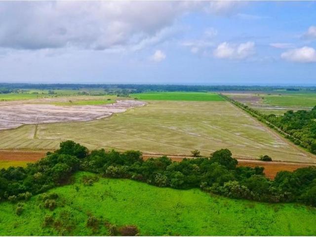 Cortijo de alto standing de 8080000 m2 en venta Antón, Provincia de Coclé