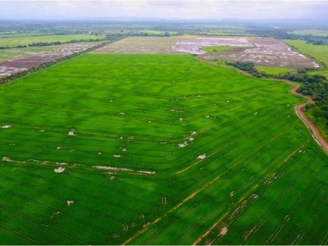 Cortijo de alto standing de 8080000 m2 en venta Antón, Provincia de Coclé