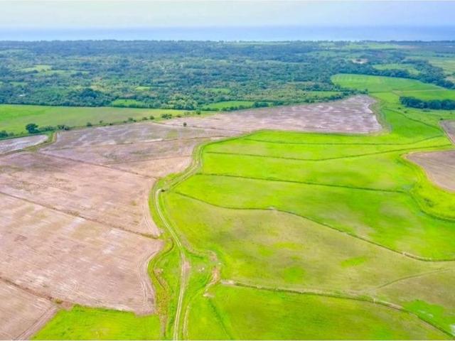 Cortijo de alto standing de 8080000 m2 en venta Antón, Provincia de Coclé