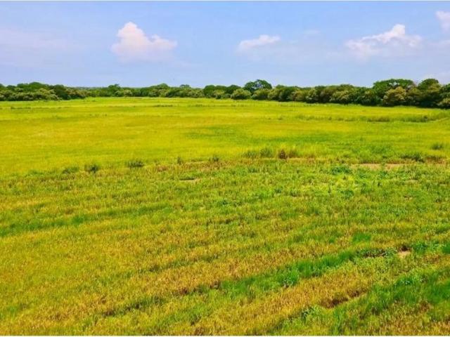 Cortijo de alto standing de 8080000 m2 en venta Antón, Provincia de Coclé
