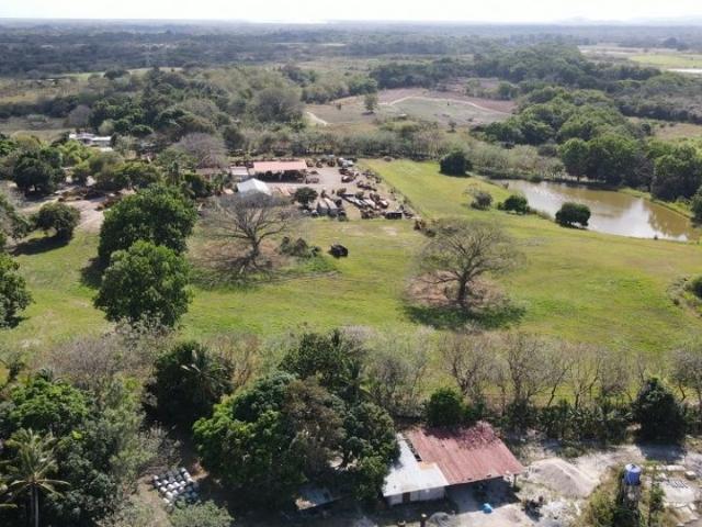 Cortijo de alto standing en venta Antón, Provincia de Coclé
