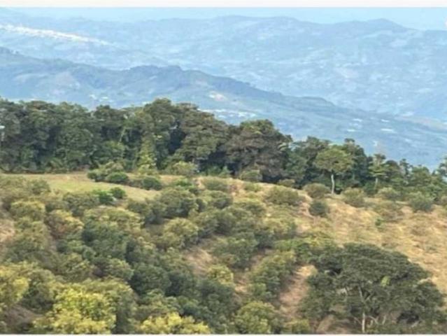 Finca en venta en Risaralda
