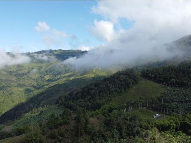 Finca en venta en Argelia, Valle Del Cauca
