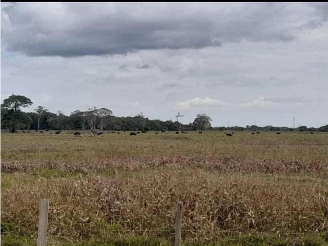 Propiedad en venta en Barinas