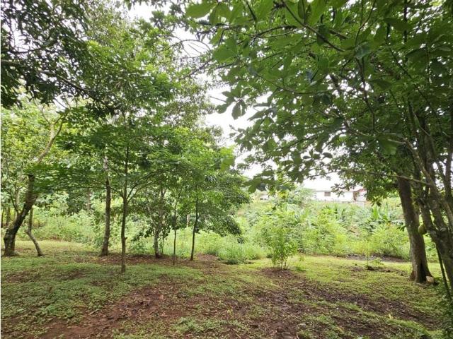 Cortijo de alto standing en venta Arraiján, Panamá