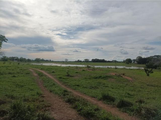 Cortijo de alto standing en venta Ayapel, Colombia