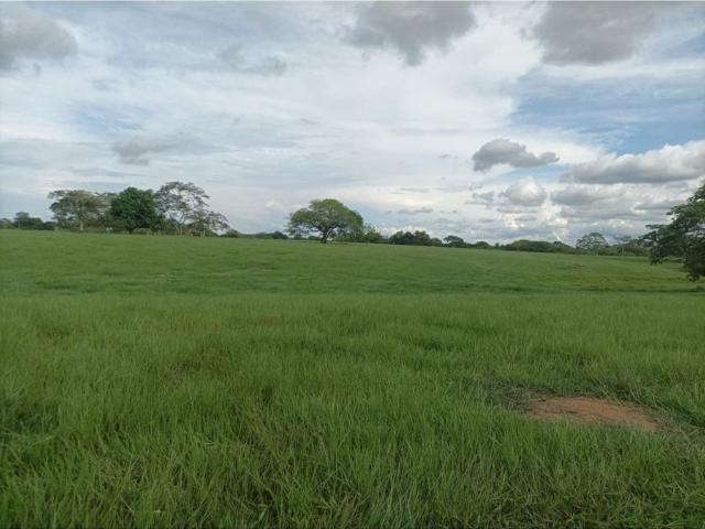 Cortijo de alto standing en venta Ayapel, Colombia