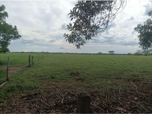 Cortijo de alto standing en venta Ayapel, Colombia