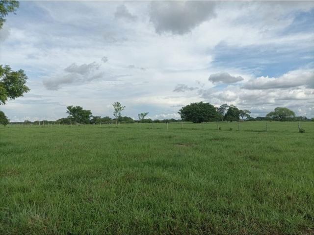 Cortijo de alto standing en venta Ayapel, Colombia
