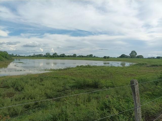 Cortijo de alto standing en venta Ayapel, Colombia