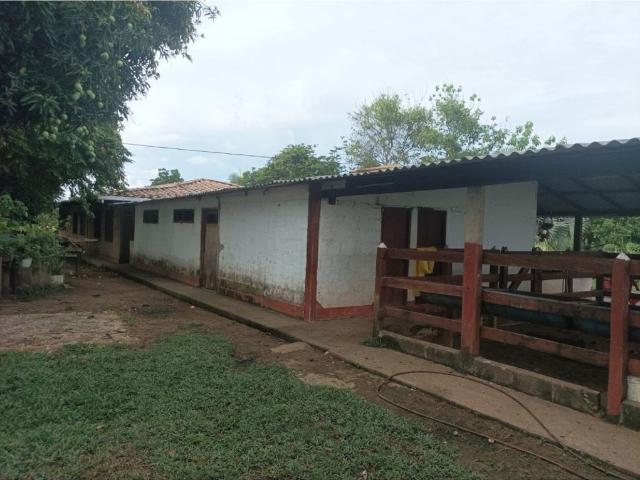 Cortijo de alto standing en venta Ayapel, Colombia