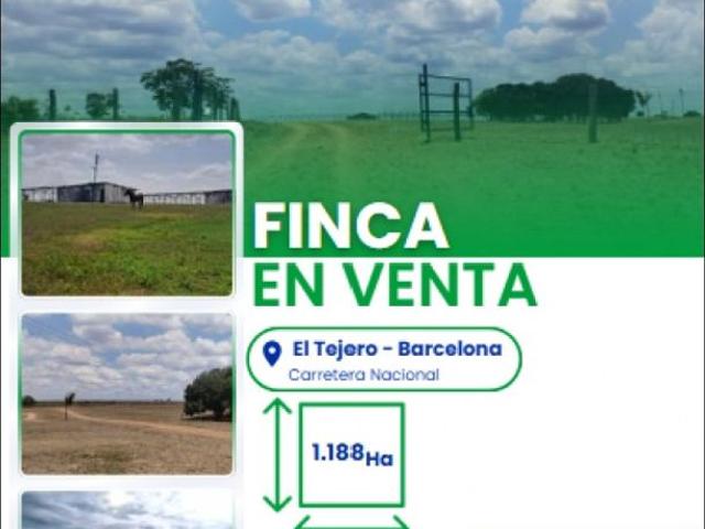 Propiedad en venta en Barcelona, Amazonas