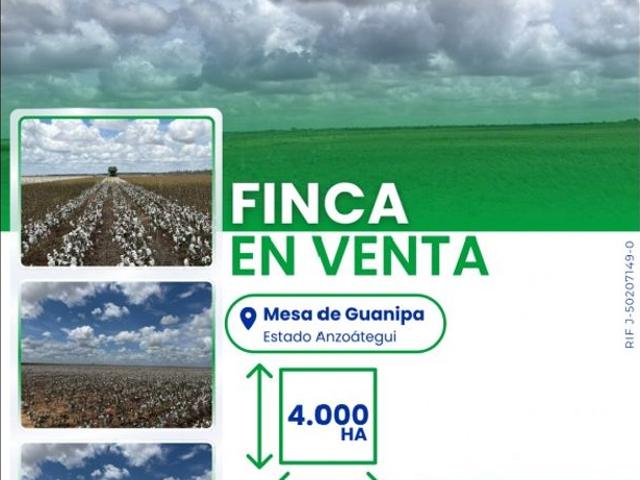 Propiedad en venta en Barcelona, Municipio Simón Bolívar