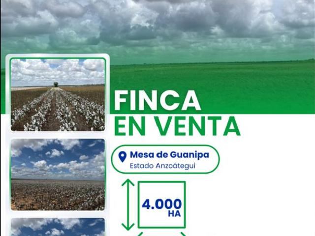 Propiedad en venta en Barcelona, Amazonas