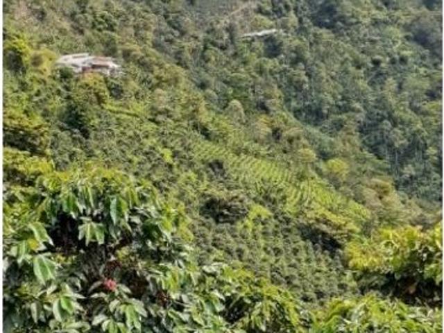 Cortijo de alto standing en venta Betania, Colombia