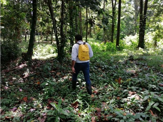 Cortijo de alto standing en venta Bocas del Toro, Panamá