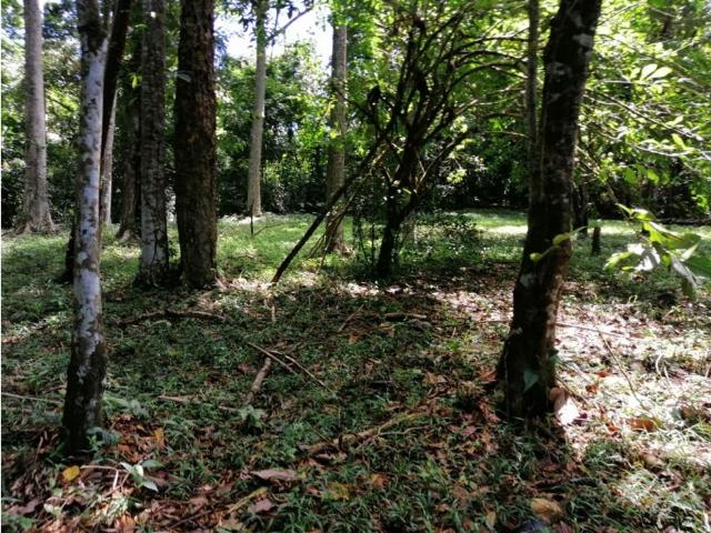 Cortijo de alto standing en venta Bocas del Toro, Panamá