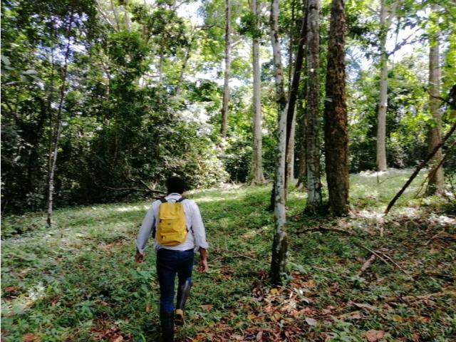 Cortijo de alto standing en venta Bocas del Toro, Panamá