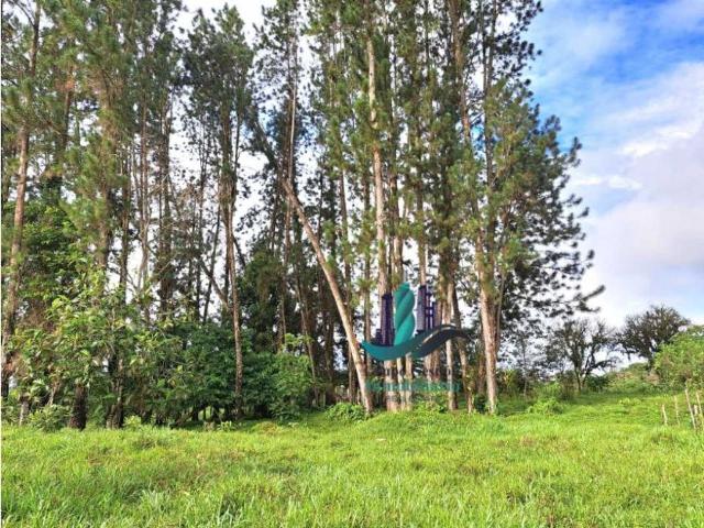 Cortijo de alto standing en venta Boquerón, Provincia de Colón