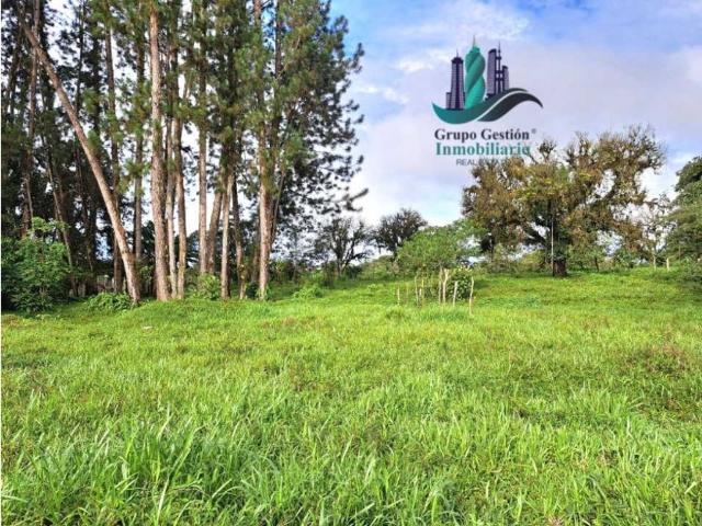Cortijo de alto standing en venta Boquerón, Provincia de Colón