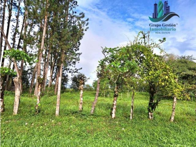 Cortijo de alto standing en venta Boquerón, Provincia de Colón