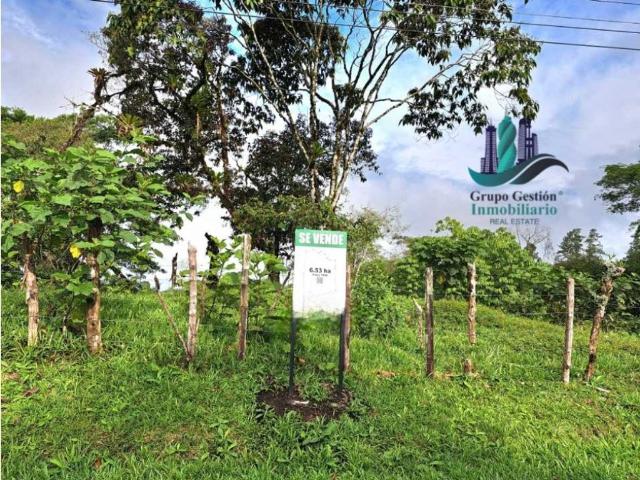 Cortijo de alto standing en venta Boquerón, Provincia de Colón