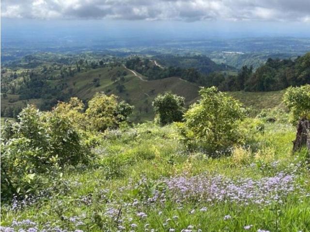 Cortijo de alto standing en venta Boquerón, Provincia de Colón