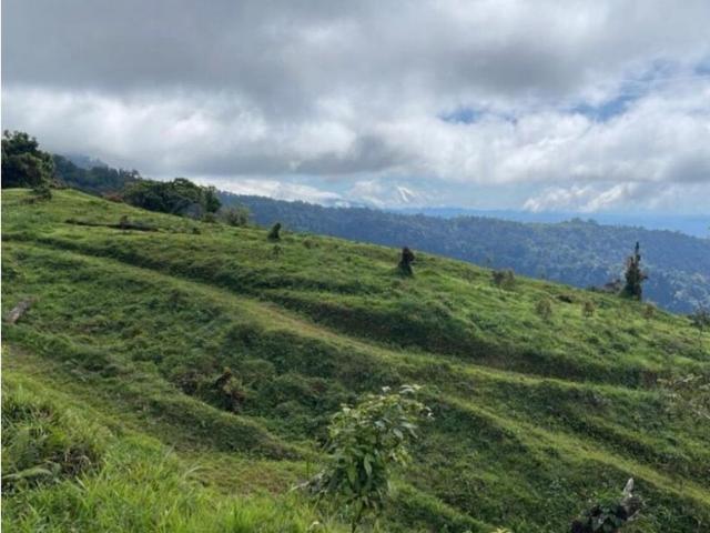 Cortijo de alto standing en venta Boquerón, Provincia de Colón