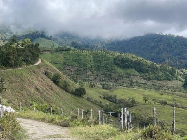Cortijo de alto standing en venta Boquerón, Provincia de Colón