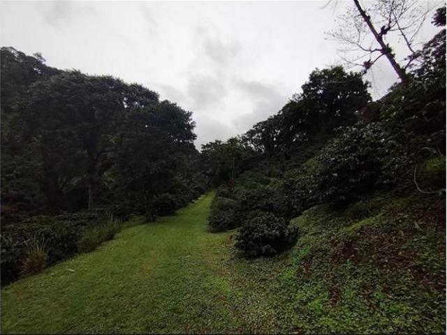 Cortijo de alto standing en venta Boquete, Panamá